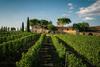 Agroturismo Fattoria Viticcio