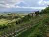 Hostal Il Glicine Rosa