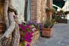 Casa In Pieno Centro Storico Suvereto