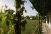 Agroturismo Settecentoalberi