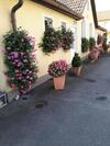 Apartamento Auszeit Leoben 3 Mit Gartenterasse Und Gratisparkplatz