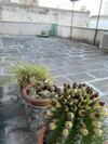 Apartamento Li Beddhrizzi House