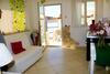 The Enlightened Turtle