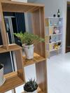 Apartamento Moc Homestay 3
