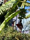 Hostal La Morada De Vicente L�pez