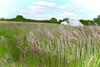 Poppy Wooden Glamping Pod