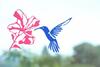 Hotel H�tel Le Kolibri