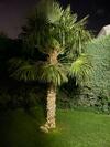 Bed And Breakfast En Salamanca Spain
