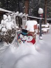 Mountain Haven Inn