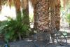 Apartamentos Finca Wapa