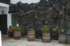 Apartamentos Finca Wapa