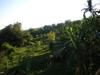 Villa The Raja Singha Boutique Resort Bali