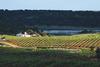 Hostal Herdade Do Sobroso Country House