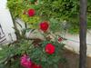 Holiday House Torre Di Manfria