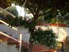 Holiday House Torre Di Manfria