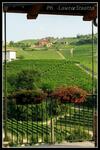 Agroturismo Cascina Sciulun