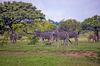 Kedar Country Lodge, Conference Centre & Spa