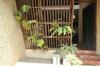Bed & Breakfast Bangalawa