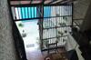 Bed & Breakfast Bangalawa