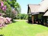 Pine Tree Lodge