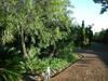 Pine Tree Lodge