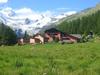 Agroturismo Hotel Roseg-gletscher
