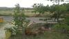Apartamento Valley Creek Hotel