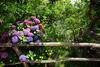 Bed & Breakfast L' Arancio In Fiore