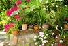 Bed & Breakfast L' Arancio In Fiore