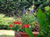 Apartamento Appart'hotel Les Acacias