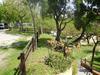 Hostal Camping Masnou