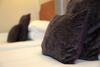 Mill Hotel (.)
