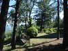 Bed & Breakfast Villa Sant'uberto Country Inn