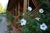 Hotel Gloriya Resort