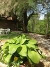 Apartamento Agriturismo Villa Mozart