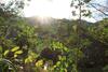 Lodge Reserva Biologica Caoba