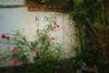 Hostal Xiangyuyangguang Garden Guest House