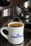 Oceantree House