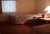Hotel Dolphins Cove Resort