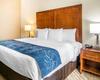 Hotel Comfort Suites Fredericksburg South