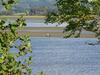 Crinan Canal Cottage