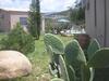Apartamento Socrates Organic Village - Wild Olive