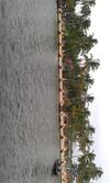 Hotel Regant Lake Village