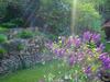 Apartamento Mittlerer K�lblinshof