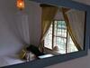Bed & Breakfast Blues & Chutney Country