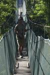 Bed & Breakfast Green House Tambopata