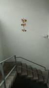 Apartamento Departamentos Calicanto