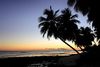 Coconut Court Beach Hotel