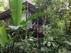 Posada La Loma Jungle Lodge And Chocolate Farm