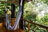 Posada La Loma Jungle Lodge And Chocolate Farm